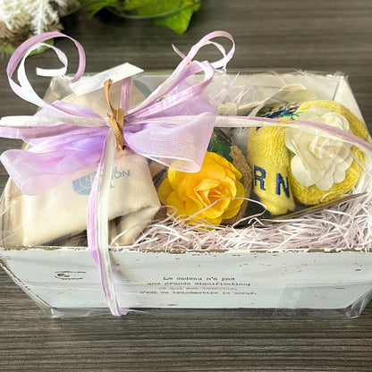 【ベビースタイ・タオル2枚組のギフトセット】ザ・ノース・フェイス　ベビーパッカブルアニマルグラフィックビブ＆ネイチャーダイハンドタオルセット