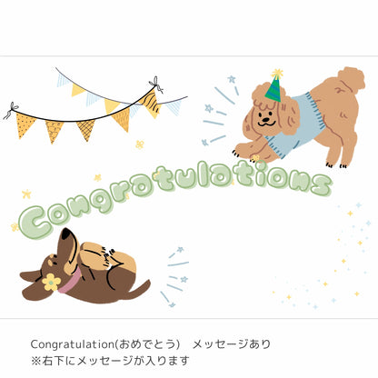 ギフトオプション（無料）